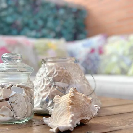 Apartamento Con Gran Terraza En El Centro *